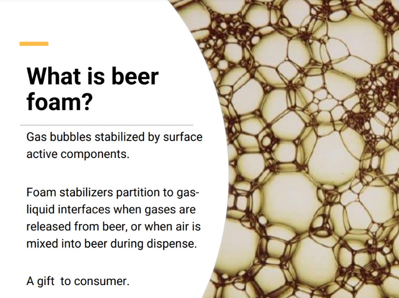 Beer Foam - A Heady Topic