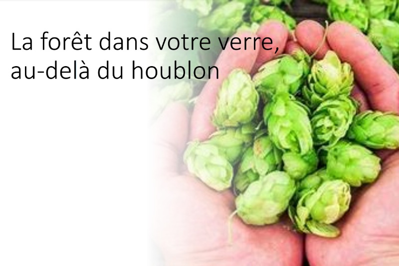 Les PFNL dans la bière, au-delà du houblon