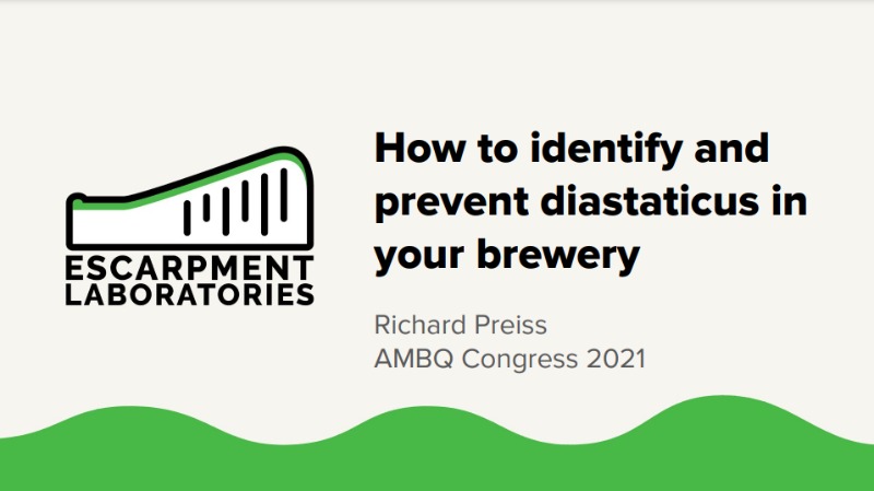 How to identify and prevent diastaticus in your brewery