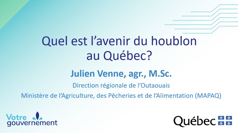 Est-ce qu’il y a un avenir pour les houblons québécois ?