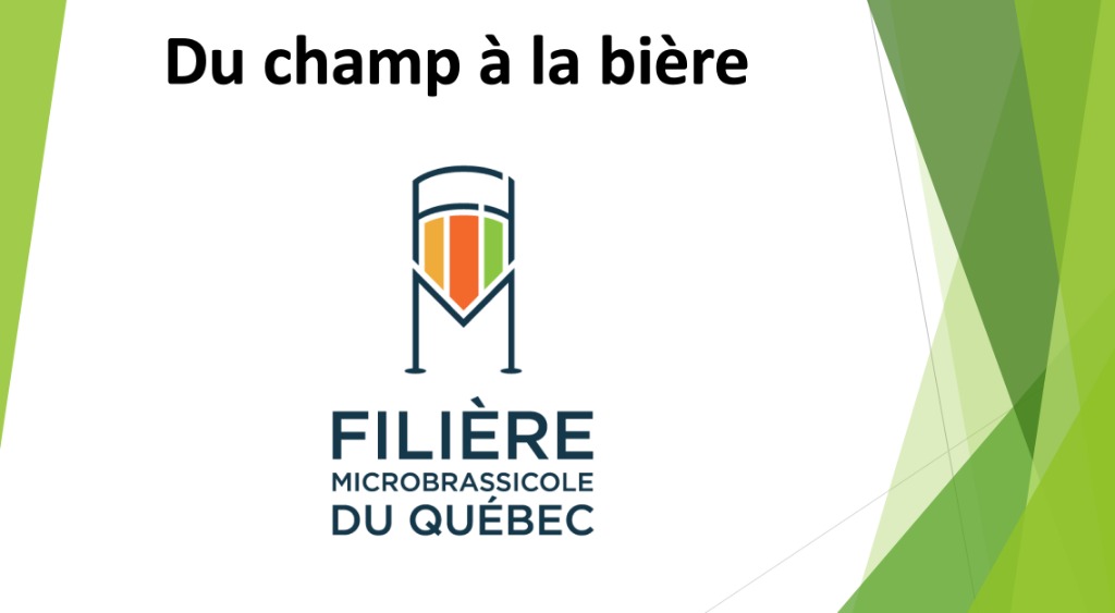 Filière microbrassicole du Québec : Du champ à la bière