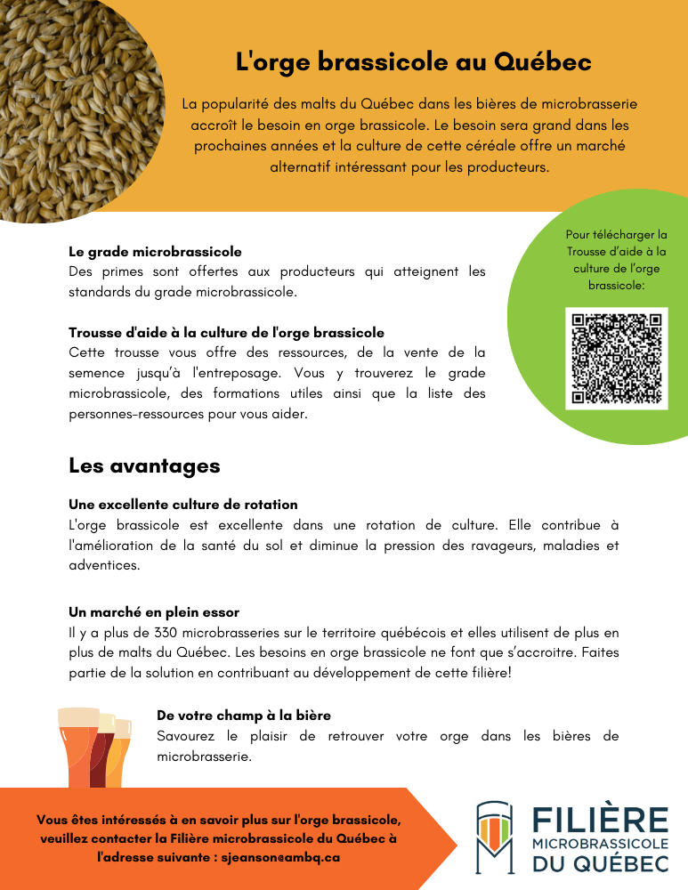 Fiche d'information sur l'orge brassicole québécois