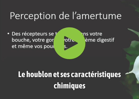 Le houblon et ses caractéristiques chimiques