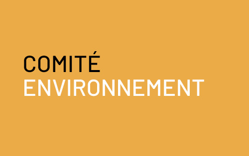 Comité Environnement