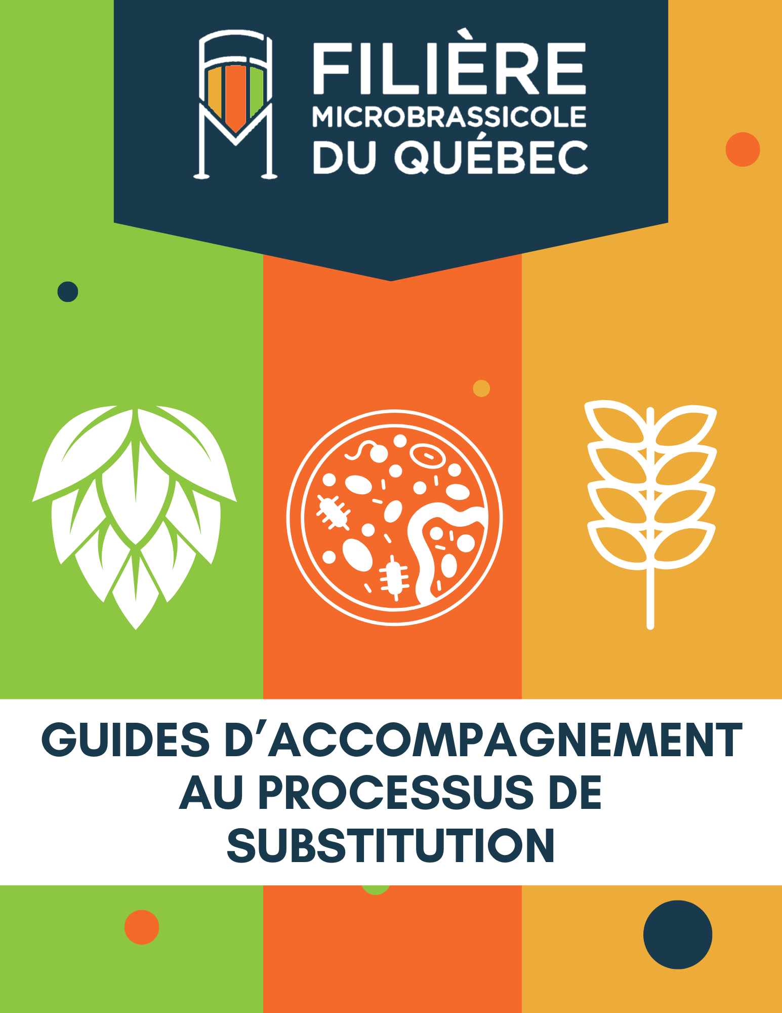 Guides d'accompagnement au processus de substitution