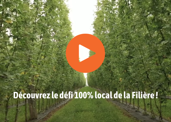 Vidéo de présentation de la Filière microbrassicole québécoise